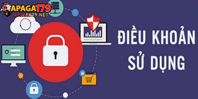 Điều khoản sử dụng