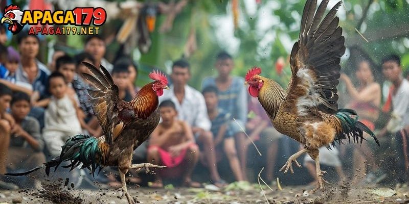 Gà Nhật Nguyệt Thần Kê