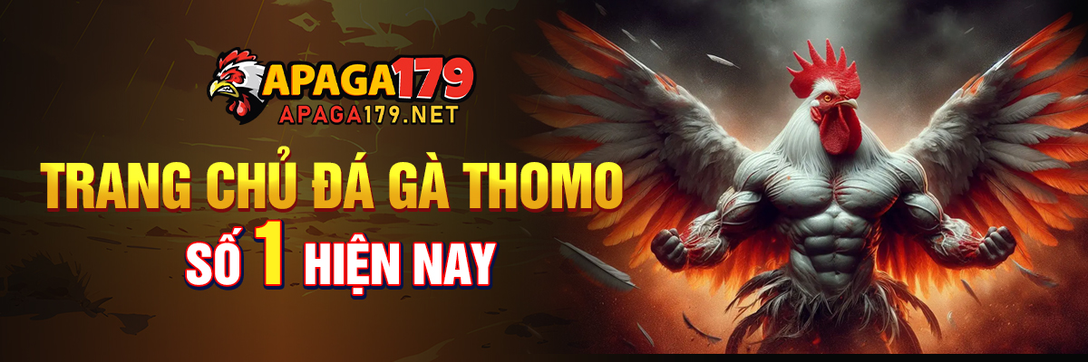 apaga179 địa điểm đá gà thomo trực tiếp tốt nhất hiện nay